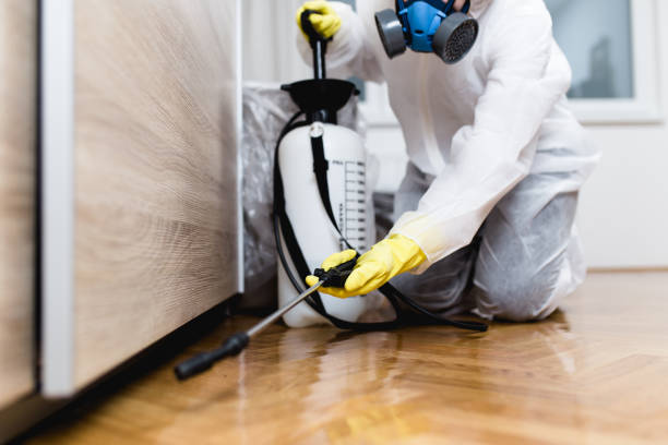 Best Exterminator Services  in Reinholds, PA