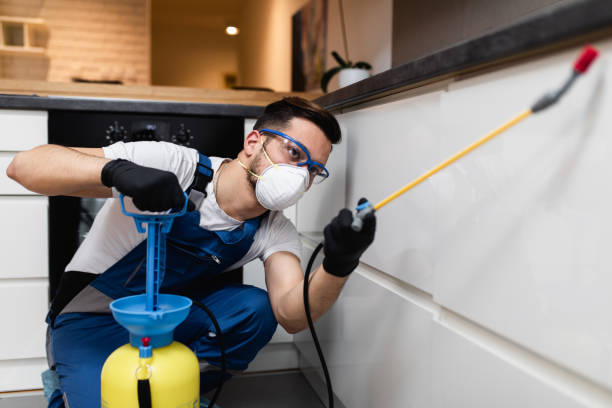 Best Mosquito Control Services  in Reinholds, PA